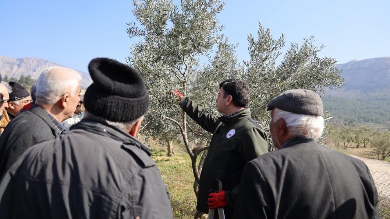 Bilecik’te üreticilere uygulamalı eğitim
