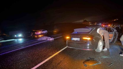 Bingöl’de otomobil ata çarptı: 4 yaralı