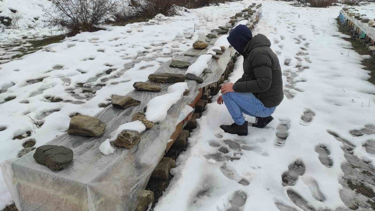 Birincilik getiren arılarını kış şartlarında özenle koruyor