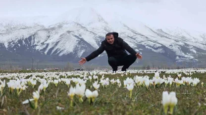 Bitlis’te baharın müjdecisi kardelenler açtı