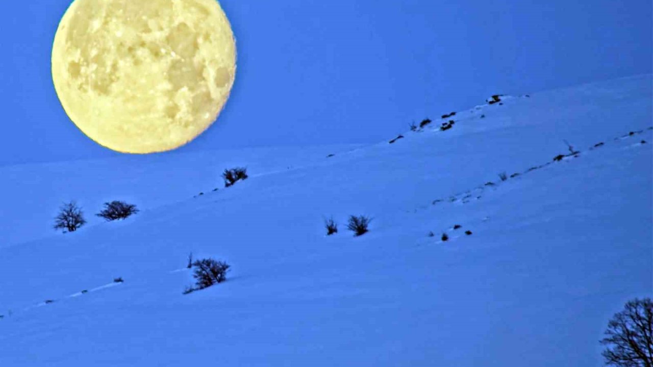 Bitlis’te karlı dağlarla bütünleşen ay manzarası mest etti