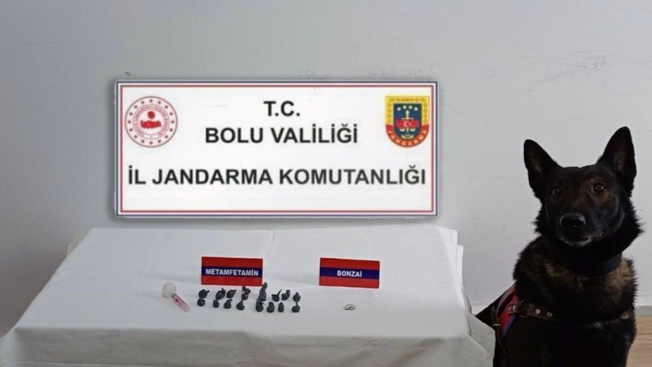 Bolu’da uyuşturucu operasyonu