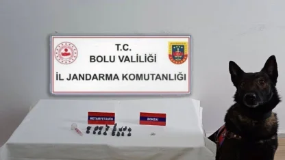Bolu’da uyuşturucu operasyonu