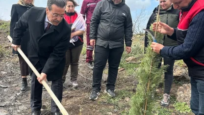 Burhaniye’de 315 fıstıkçamı fidanı toprakla buluşturuldu