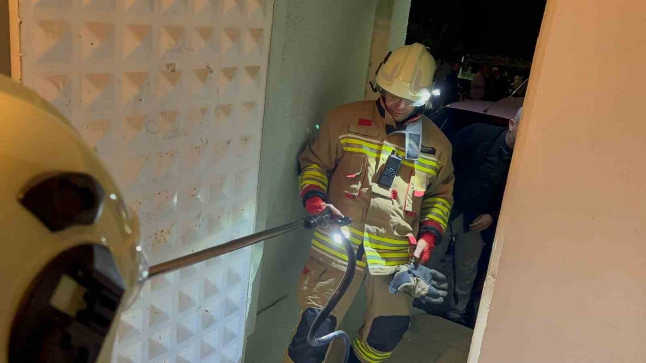 Camide görülen yılan yakalandı