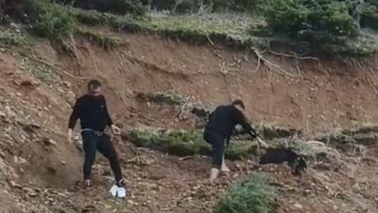 Çamura saplanan keçi son anda kurtarıldı