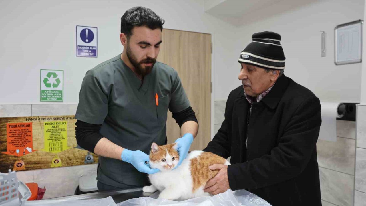 Cumhuriyet tarihinin ilk fakültesine ait hastanede, bir yılda 9 bin 600 hayvan şifa buldu