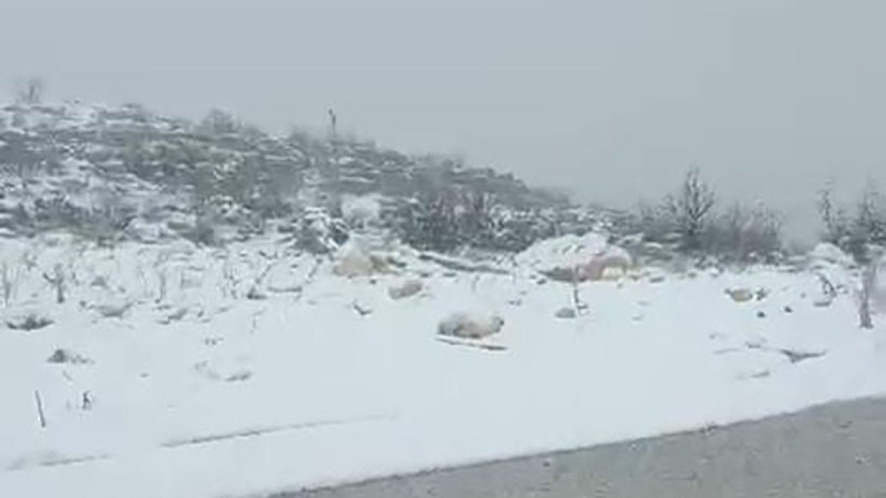 Diyarbakır’ın iki ilçesinde kar yağışı