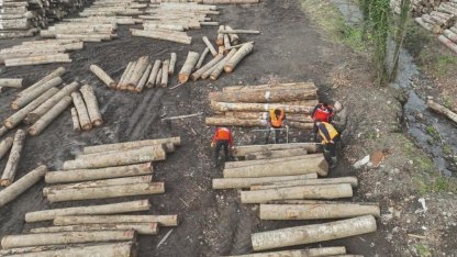 Düzce’den bin 909 ton orman ürünü ihraç edildi