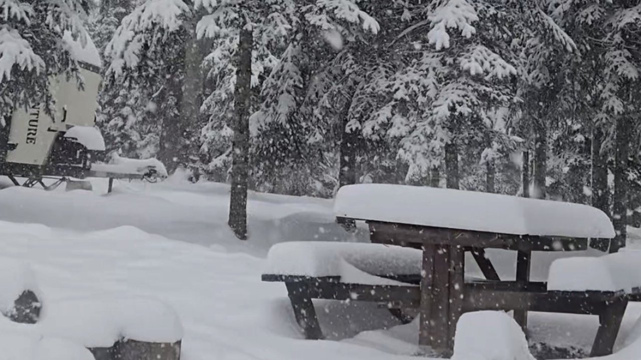 Düzce’nin yüksek kesimleri beyaza büründü: Kar kalınlığı 40 santimetreye ulaştı