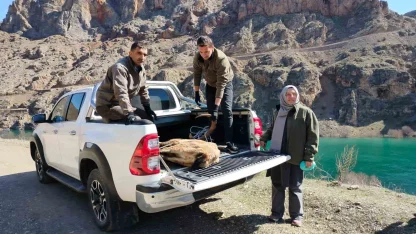 Elazığ’da yaralı dağ keçisi için ekipler seferler oldu