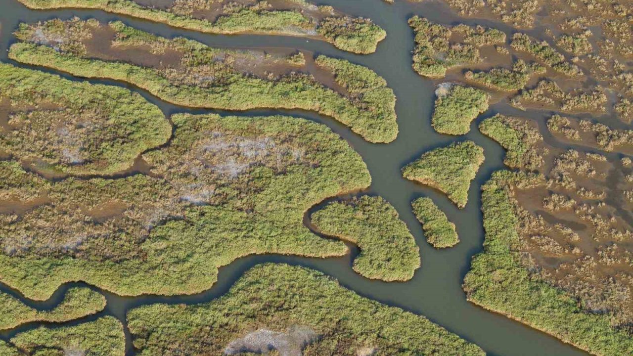 Gediz Nehri mercek altında