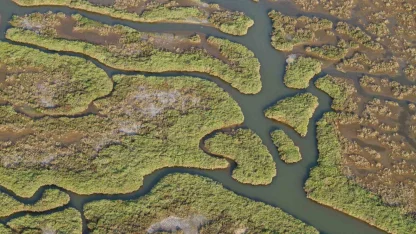 Gediz Nehri mercek altında