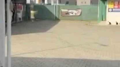 Gemlik Belediyesinin Umurbey’deki barınağını önünde toplanan hayvanseverler içeriye alınmadı