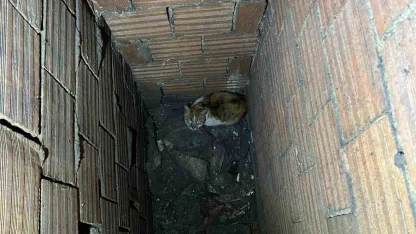 Havalandırma boşluğuna düşen kedi kurtarıldı