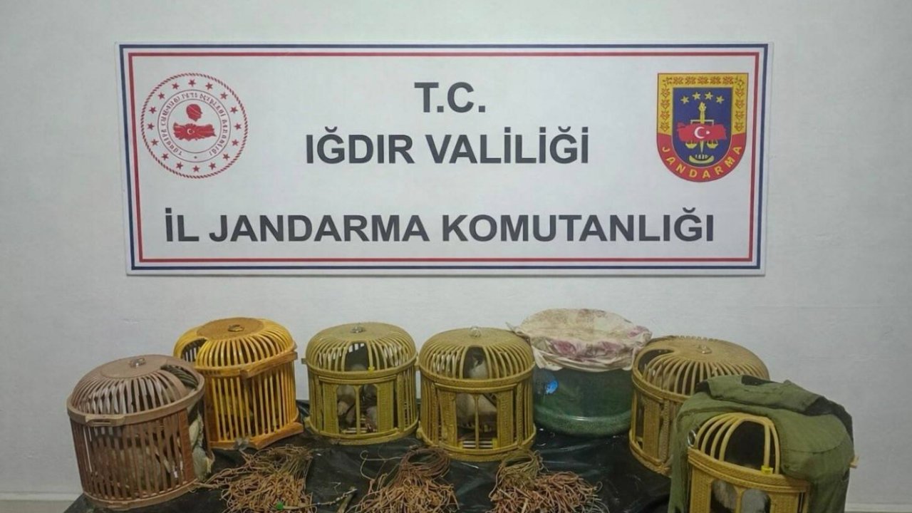 Iğdır’da kaçak keklik avcılarına 175 bin TL ceza