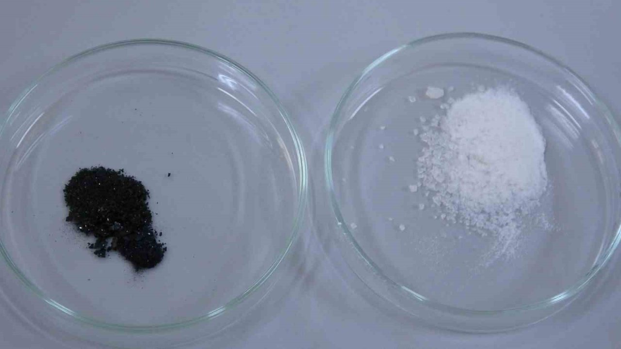 Isparta’da endemik bitkiden doğaya zarar vermeden kanserle mücadeleye umut olacak üretim modeli geliştiriliyor