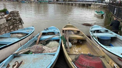 İstilacı İsrail sazanları balıkçılara gelir kaynağı oldu