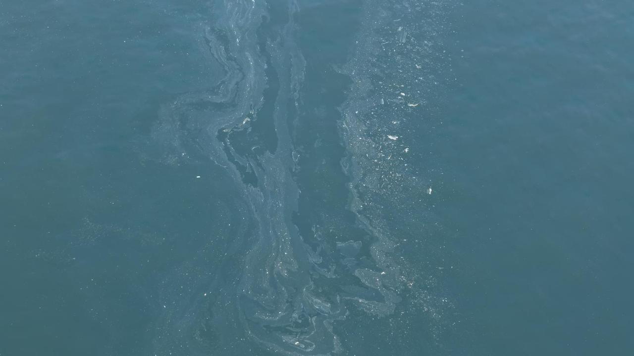 İzmir Körfezi’nde 7. Kirlilik Skandalı: Tersane Şüphesi