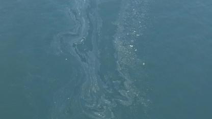 İzmir Körfezi’nde 7. Kirlilik Skandalı: Tersane Şüphesi