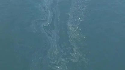 İzmir Körfezi’nde 7. Kirlilik Skandalı: Tersane Şüphesi