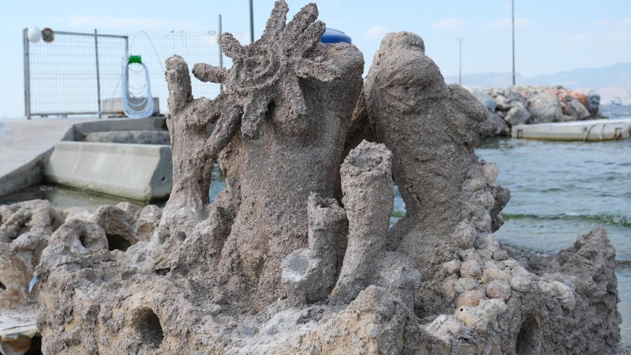 İzmir’de atık midye kabukları yapay resiflere dönüşecek