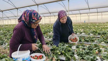 Kadınlar Gününü tarlada çalışarak kutladılar
