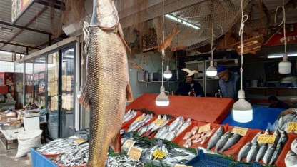 Karakaya Barajı’nda yakalanan 42 kiloluk turna balığı ilgi gördü