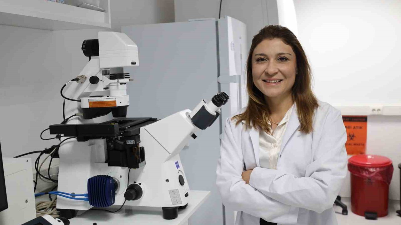 Kemik erimesinin tedavisinde uluslararası iş birliği