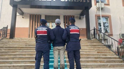 Kendisine saldıran köpeklerin sahibini vuran 17 yaşındaki şüpheli tutuklandı