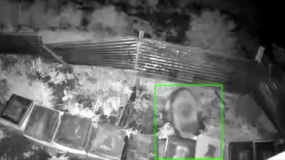 Kış uykusundan kalkan ayı, kovanlara saldırdı