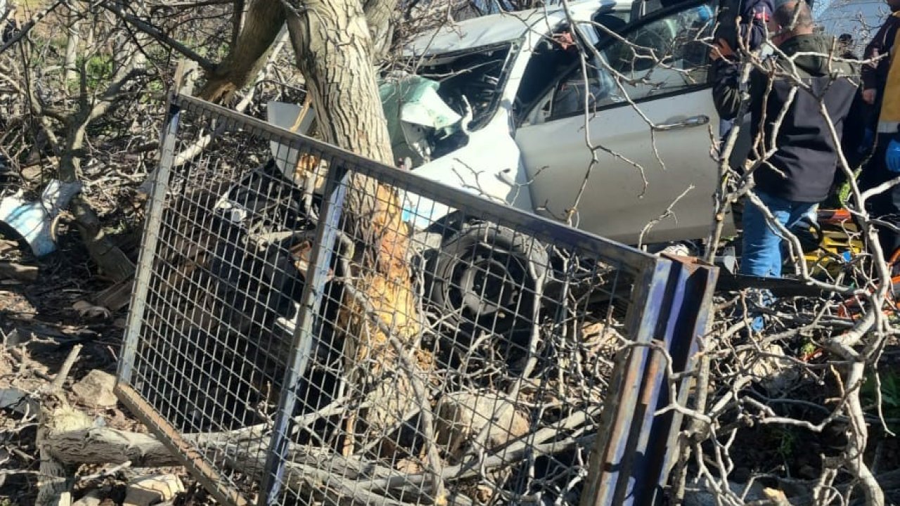 Kontrolden çıkan otomobil ağaçlara ok gibi saplandı: 2 ölü, 1 ağır yaralı