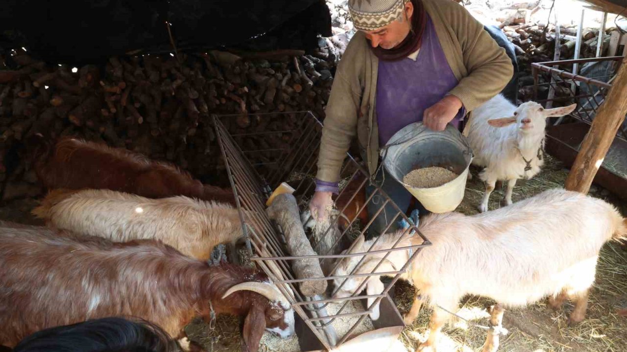 Korkuteli’nde yem ezme ve kırma makinesi üreticiye kolaylık sağlıyor