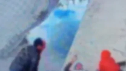 Kornaya bastı ama otomobile çarpmaktan kurtulamadı