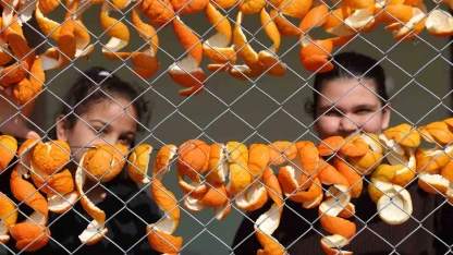 Limon ve turunç kabukları kadınların elinde değerleniyor