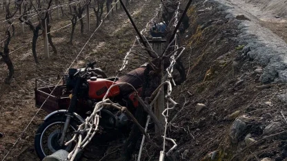 Manisa’da sepetli motosiklet üzüm bağına uçtu: 1 ölü