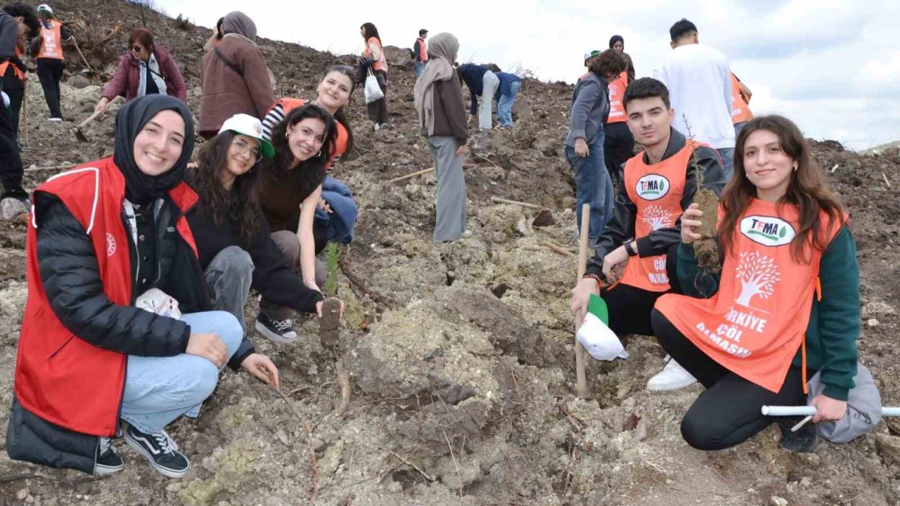 Manisa’da yanan alanlar yeniden yeşeriyor