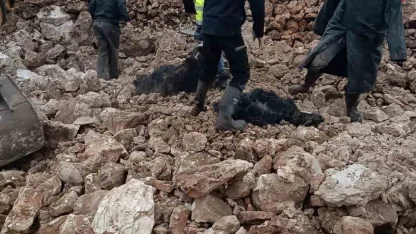 Mardin’de ahırın çökmesi sonucu 30 küçükbaş telef oldu