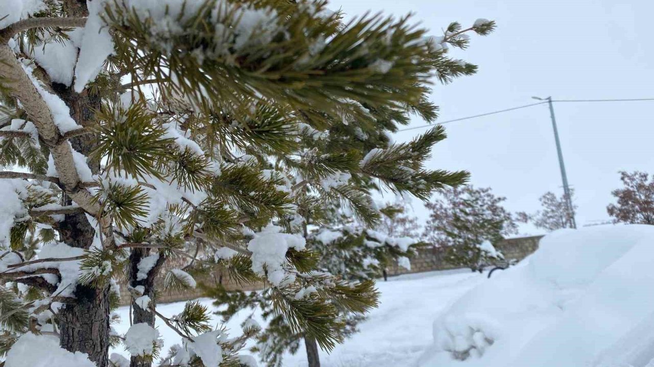 Mart ayında Ağrı’da kar yağışı etkili oldu