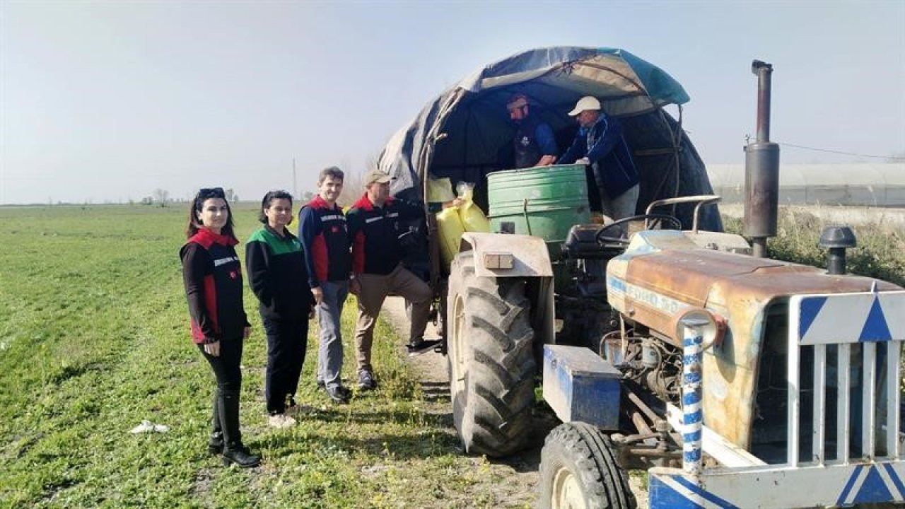Meralar devlet-vatandaş işbirliğiyle ıslah ediliyor