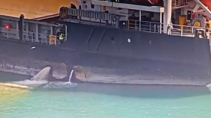 Mersin’de denizi kirleten gemiye 13 milyon TL ceza kesildi, gemi rıhtıma bağlandı