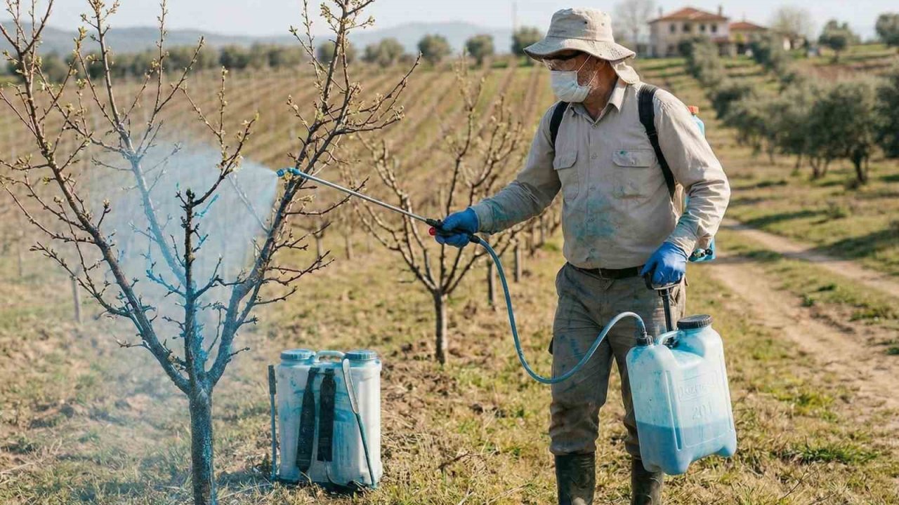 Meyve üreticilerine bordo bulamacı uyarısı