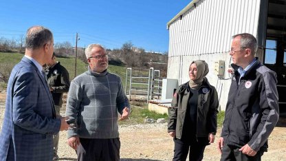 Müdür Ayvalık, üreticilerle tarım ve hayvancılığı inceledi