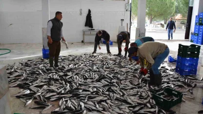 Muğla Şubat ayında 102 milyon dolar ihracat gerçekleştirdi