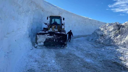 Muş’ta kapanan tüm köy yolları ulaşıma açıldı