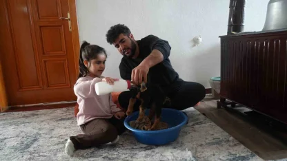 Muş’ta yeni doğan oğlaklara özenli bakım