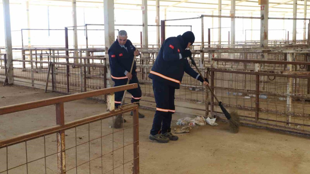 Nazilli Hayvan Pazarı 7 ay sonra yeniden açılıyor