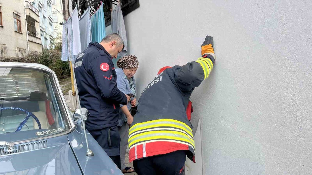 Ordu’da bodrum kattaki kedi sesi ekipleri harekete geçirdi