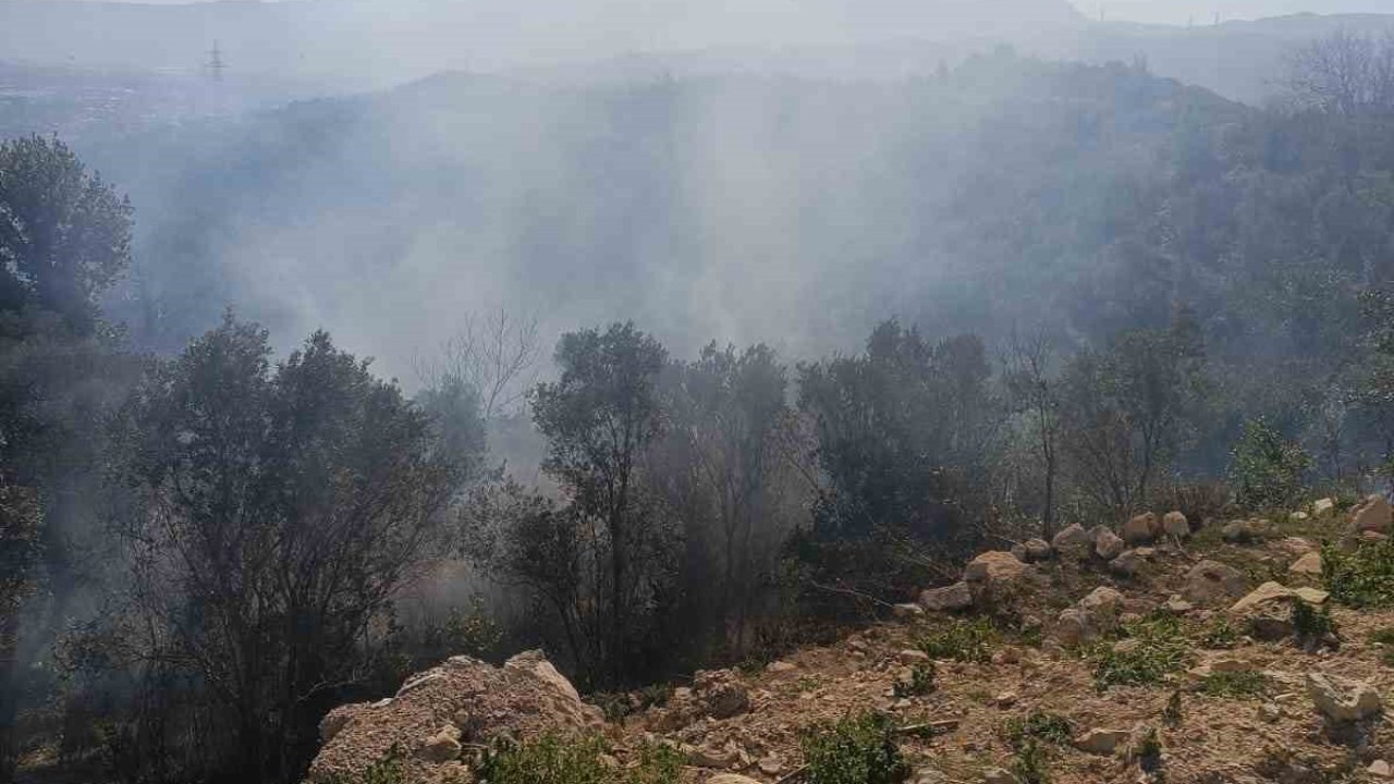 Samandağ’da ormanlık alanda çıkan yangın kısa sürede kontrol altına alındı