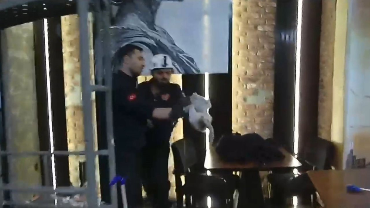 Şanlıurfa’da havalandırma boşluğunda mahsur kalan kedi kurtarıldı